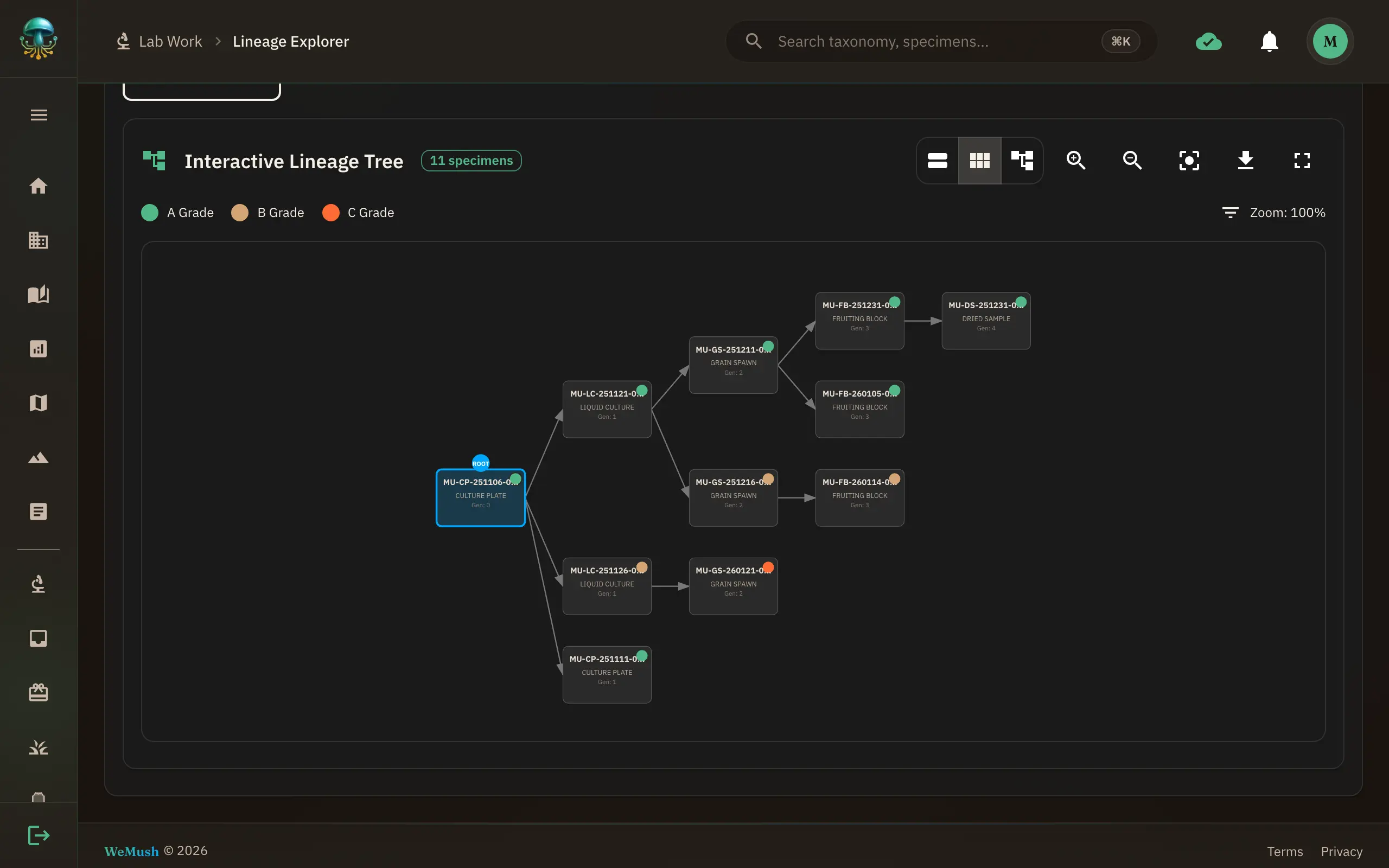 WeMush Genetic Lineage Tree showing multi-generation specimen breeding relationships